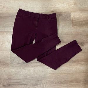 New York & Company Burgandy Capris